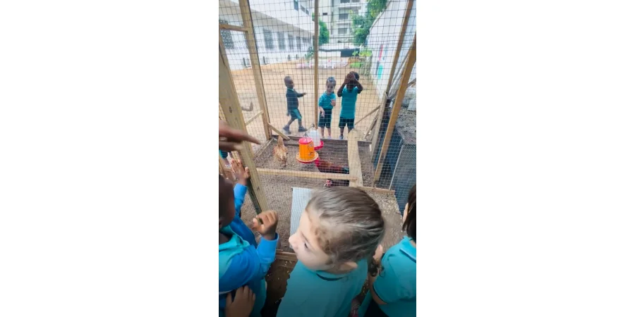 Un lundi pas comme les autres!  La pluie 🌧️ a apporté un beau temps et nos élèves de la maternelle en ont bien profité. Ils ont effectué leurs activités en plein air avec enthousiasme dans la fraîcheur matinale. Vive le beau temps, vive la nature!