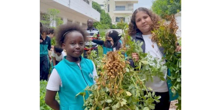 Les aliments arrivent dans nos assiettes, mais savons-nous vraiment comment ils sont produits ?  Pour le découvrir, nos élèves de CM1 ont mis les mains dans la terre ! 🌱  De la préparation du sol à la récolte, ils ont participé à chaque étape de la produc